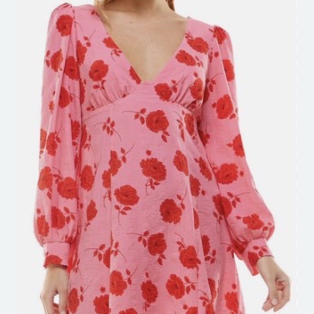 Crystal Doll Floral Pink and Red Crape Dress Size M